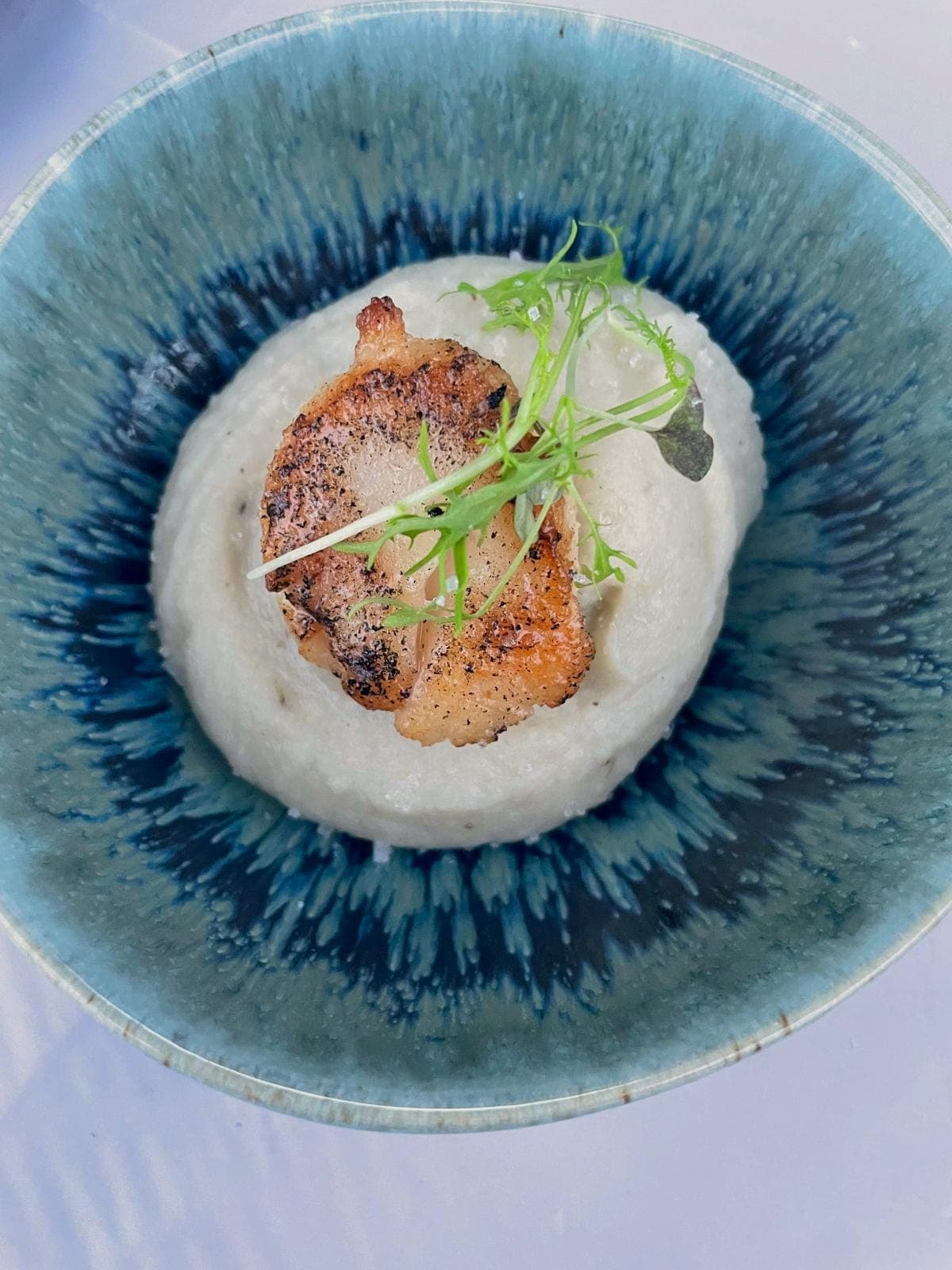 Volaille dressée sur crème, assiette de grès bleu